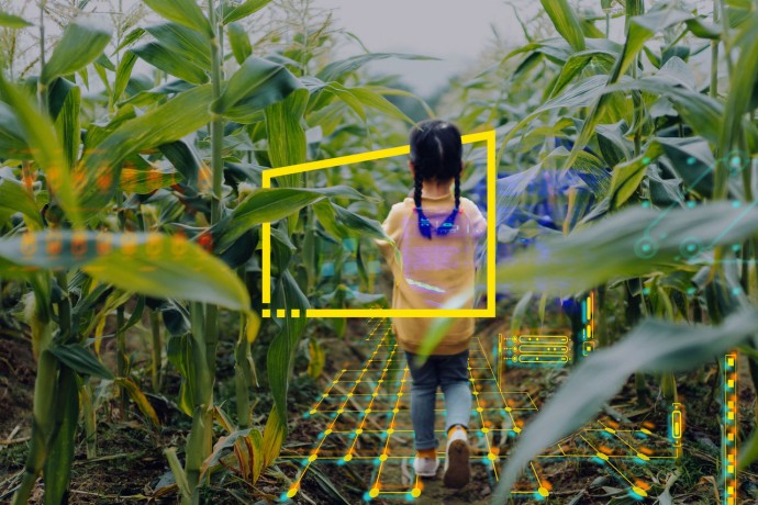 AI rear view of little asian girl walking through corn field
