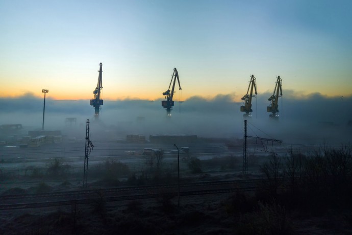 Cranes in the morning mist