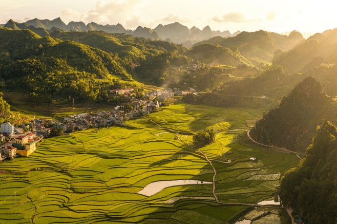 View over the terraced fields in vietnam