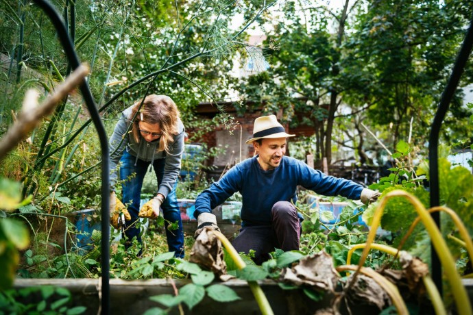 Friends working together in an urban garden