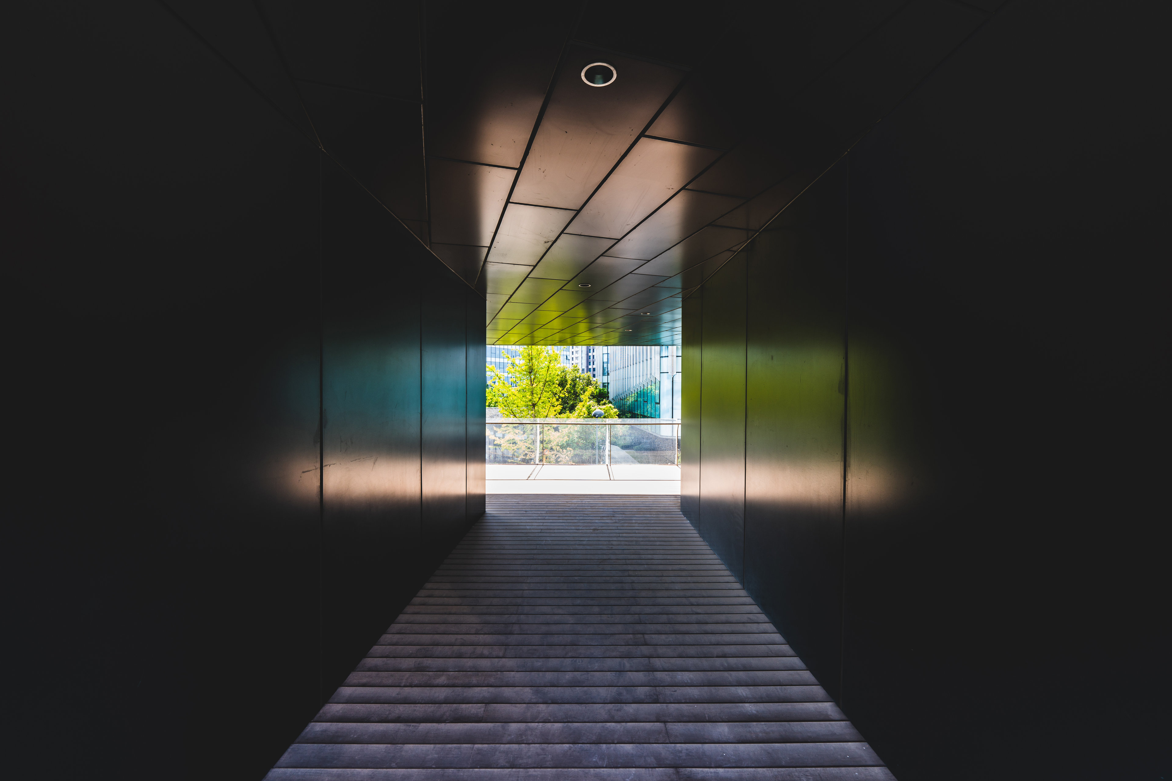 New reforms : Start 2026 with the right information, and take the right direction