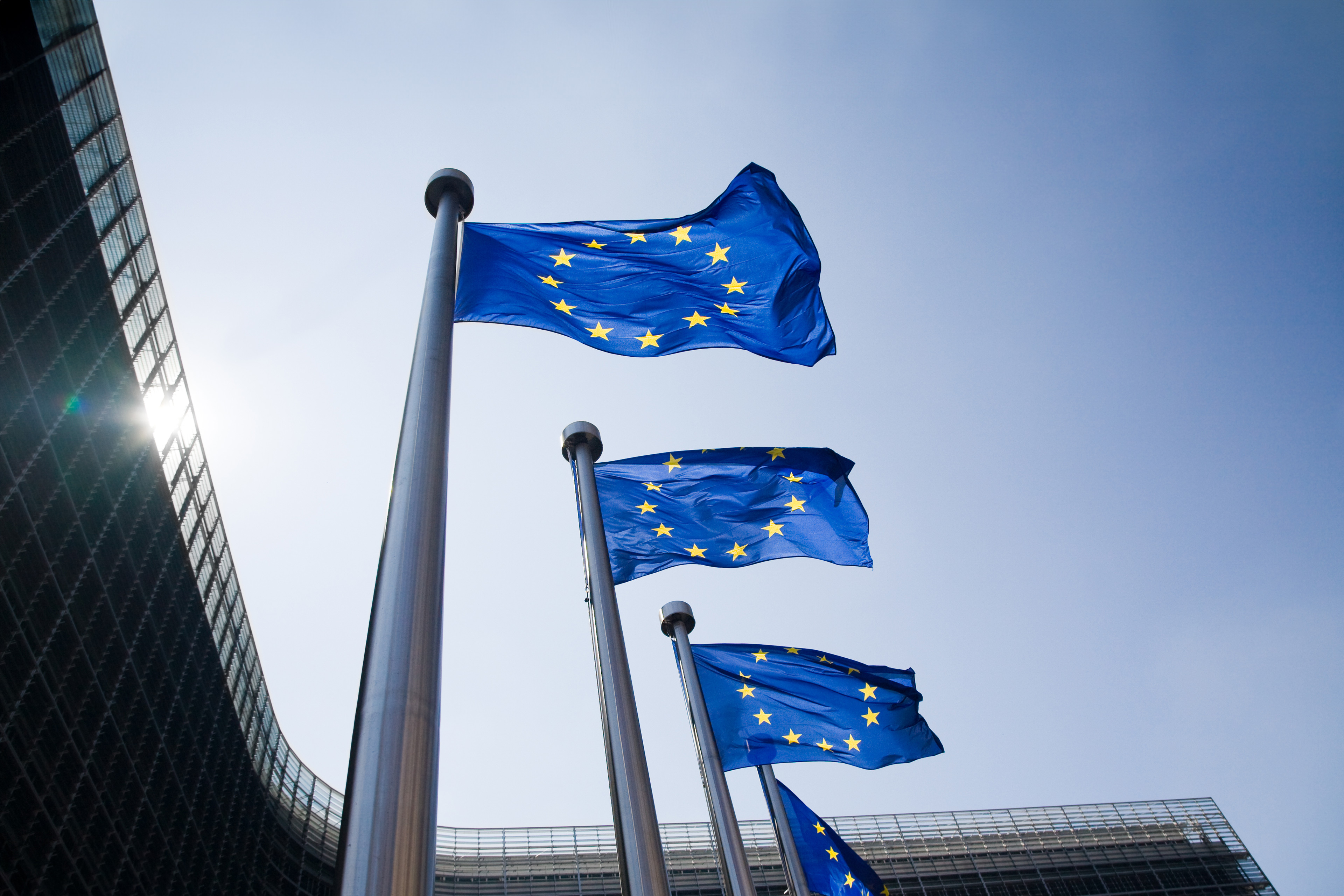 Image of European union flag