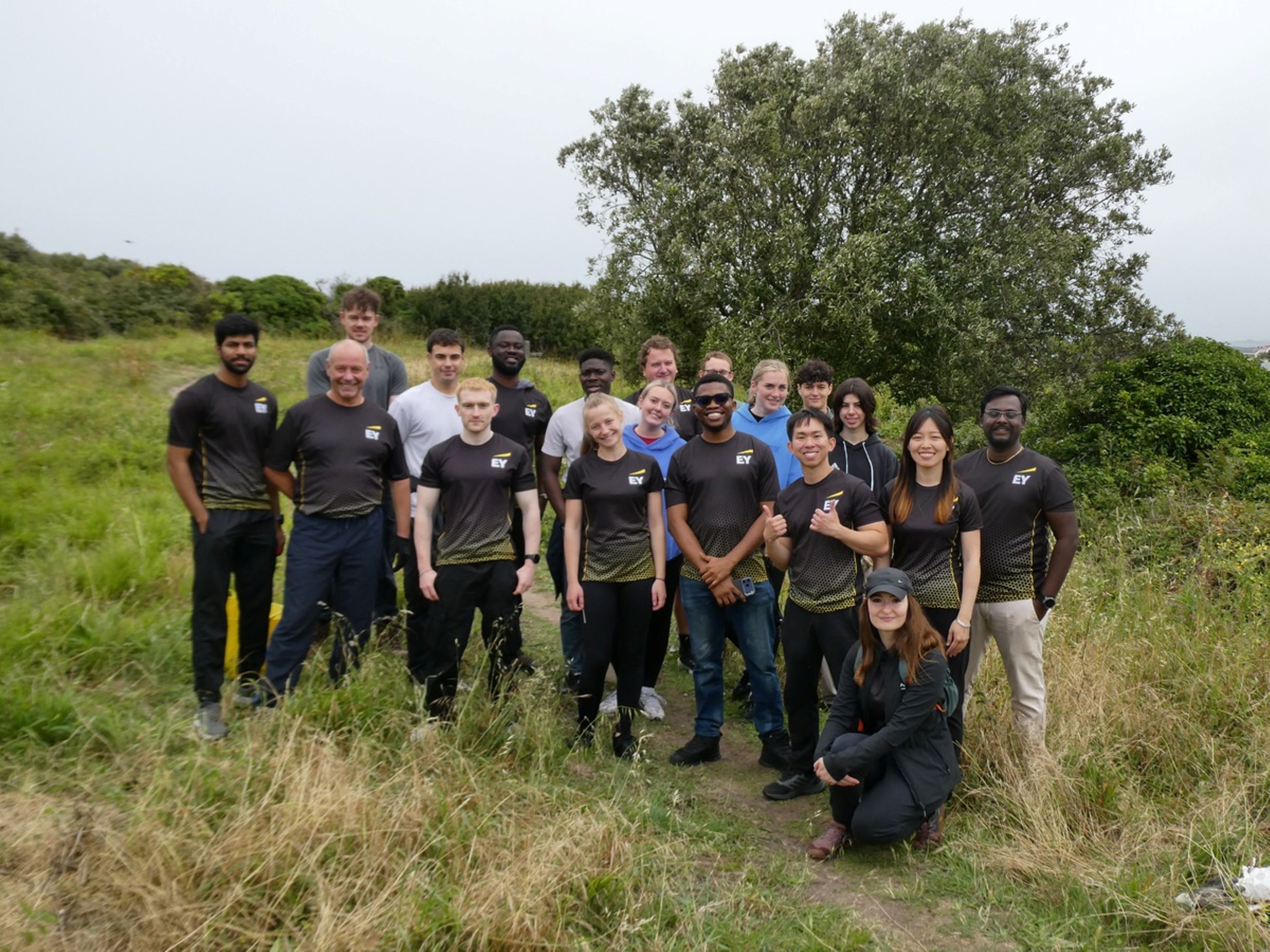 Photograph of EY teams supporting Guernsey conservation volunteers with biodiversity volunteering day