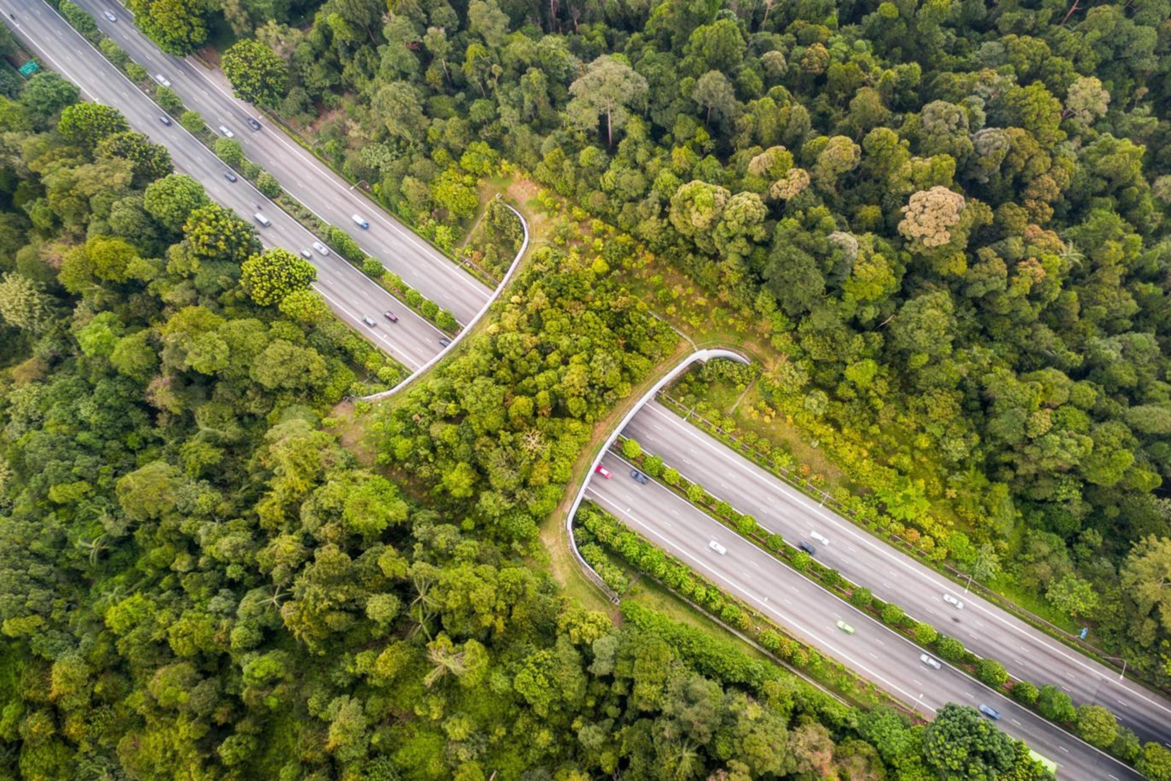 Bridge over a highway in Singapore