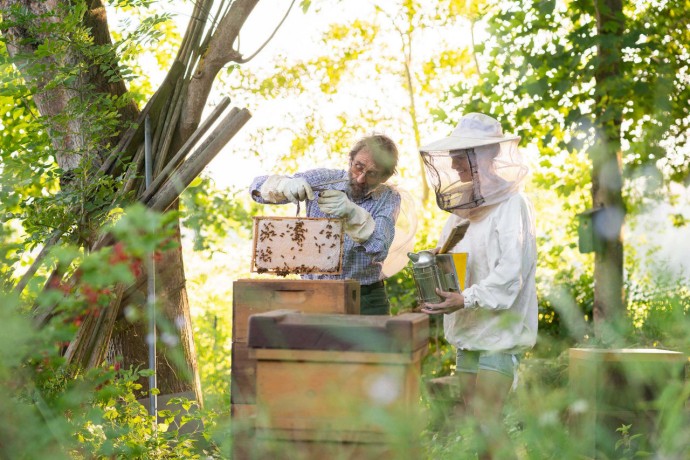 Beekeepers working in partnership to carefully manage risks of beekeeping