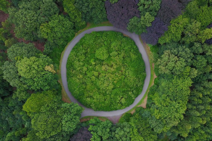 A roundabout in the forest