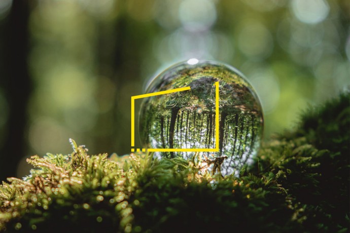 Crystall ball on moss in a forest