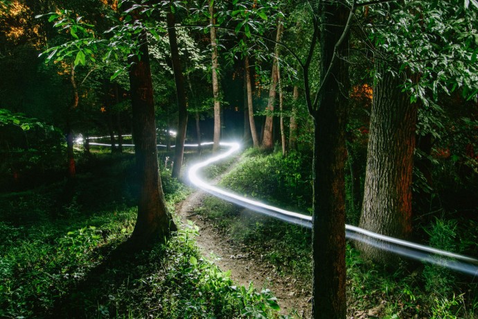 The streaks of a rider's headlamp make a winding trail through the woods in a long exposure during a mountain bike race