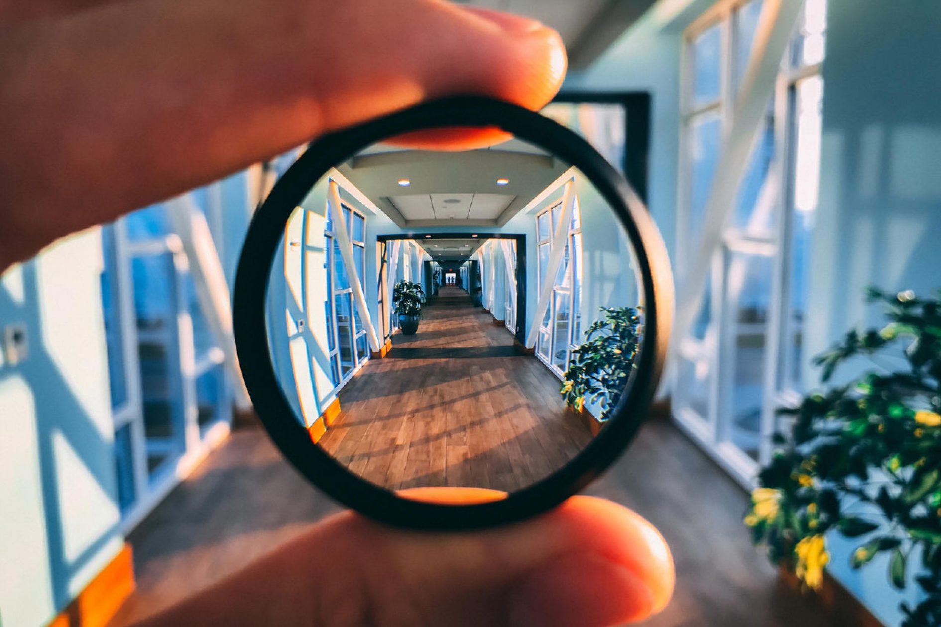 Fraud challenges in wealth and asset management | EY - US