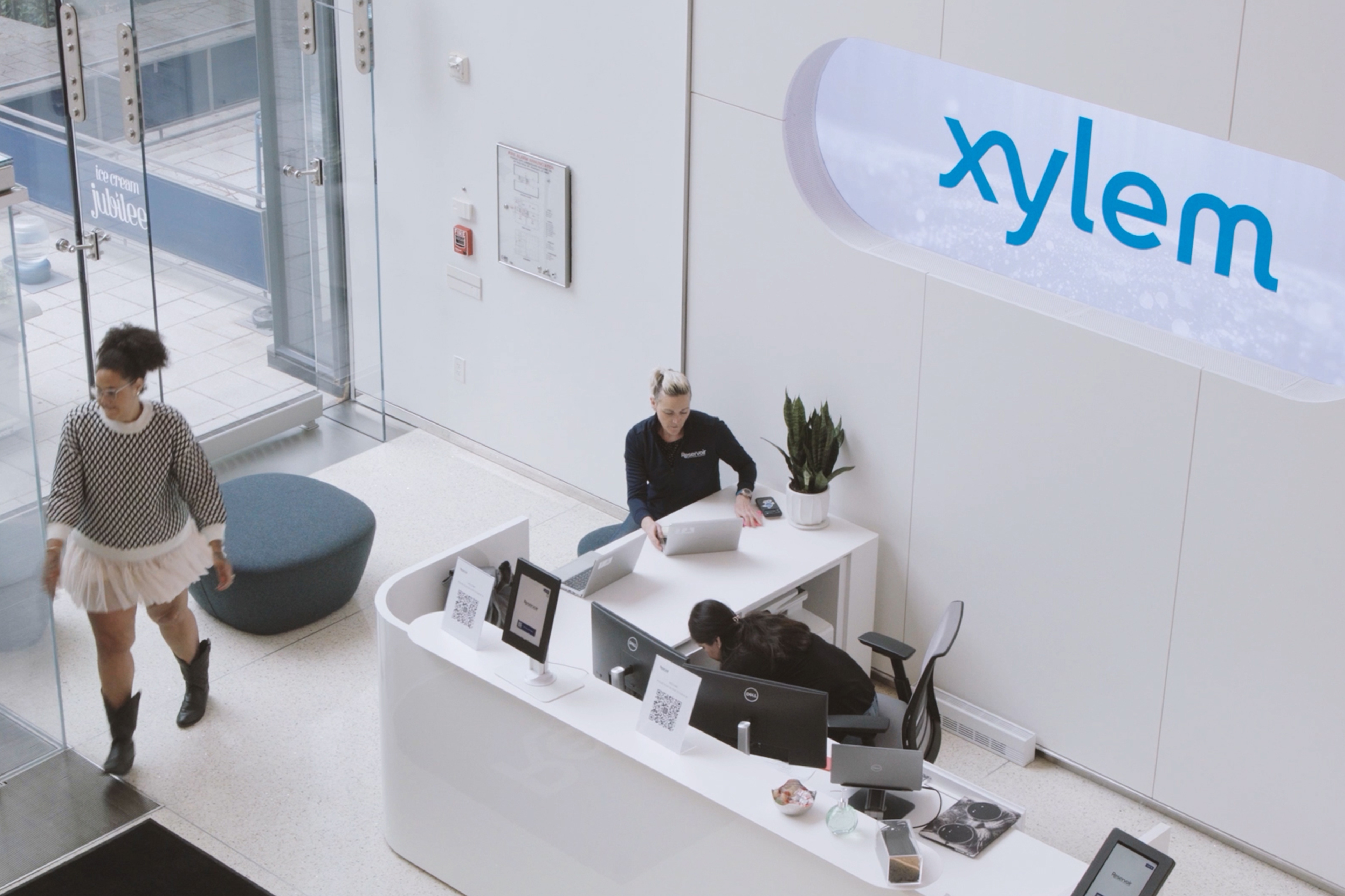 Xylem