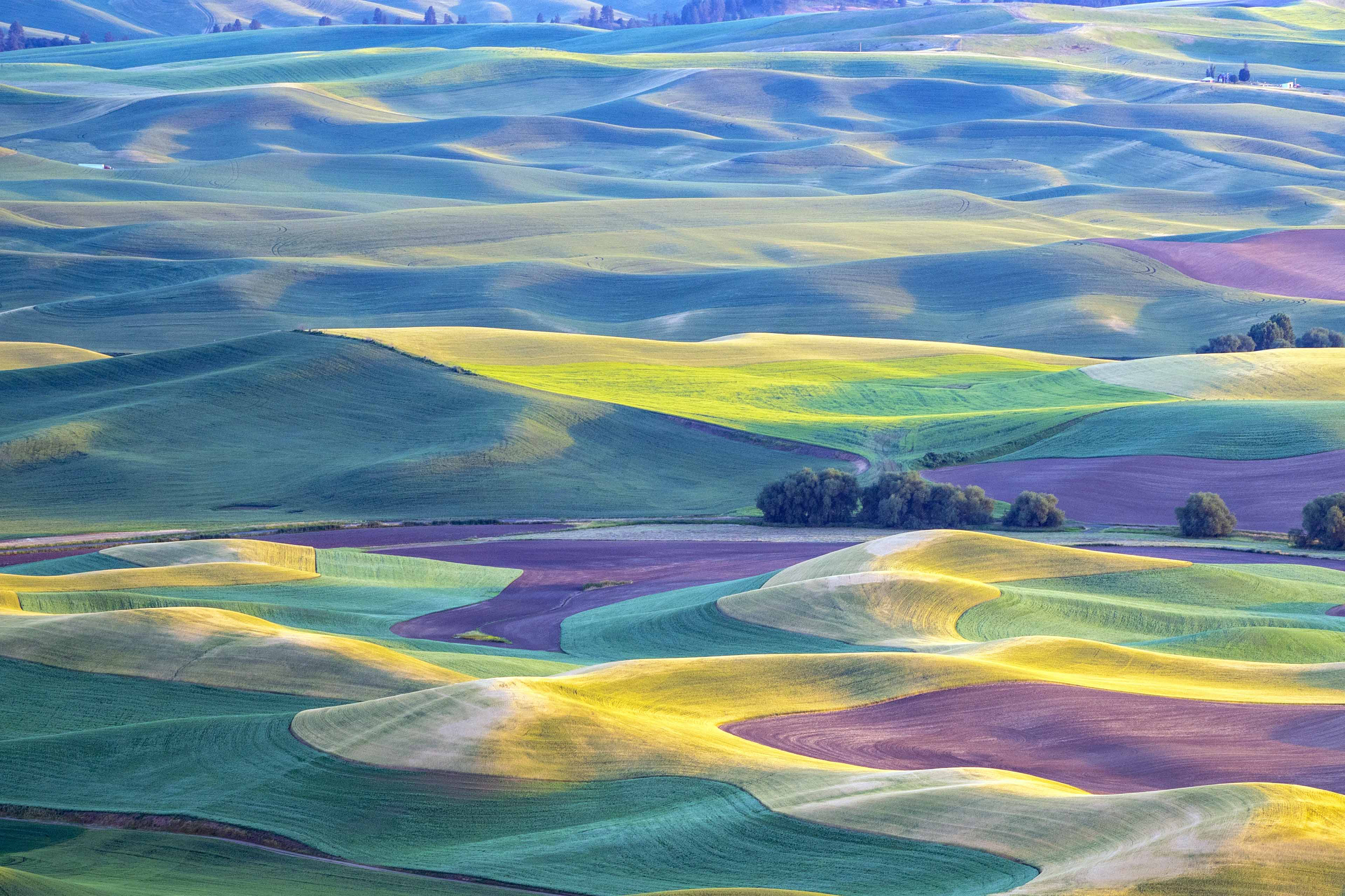 Golden hour sunset aerial view of The Palouse region of Eastern Washington State