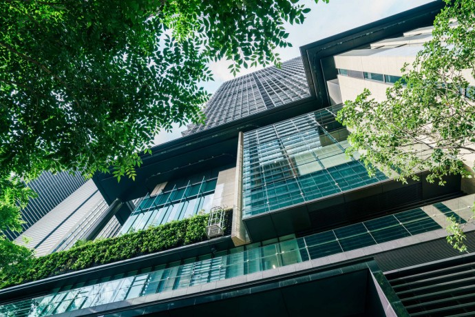 EY low view of skyscraper with lush trees