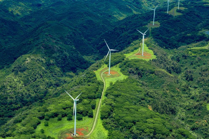 Aerial view of windmills in a forest