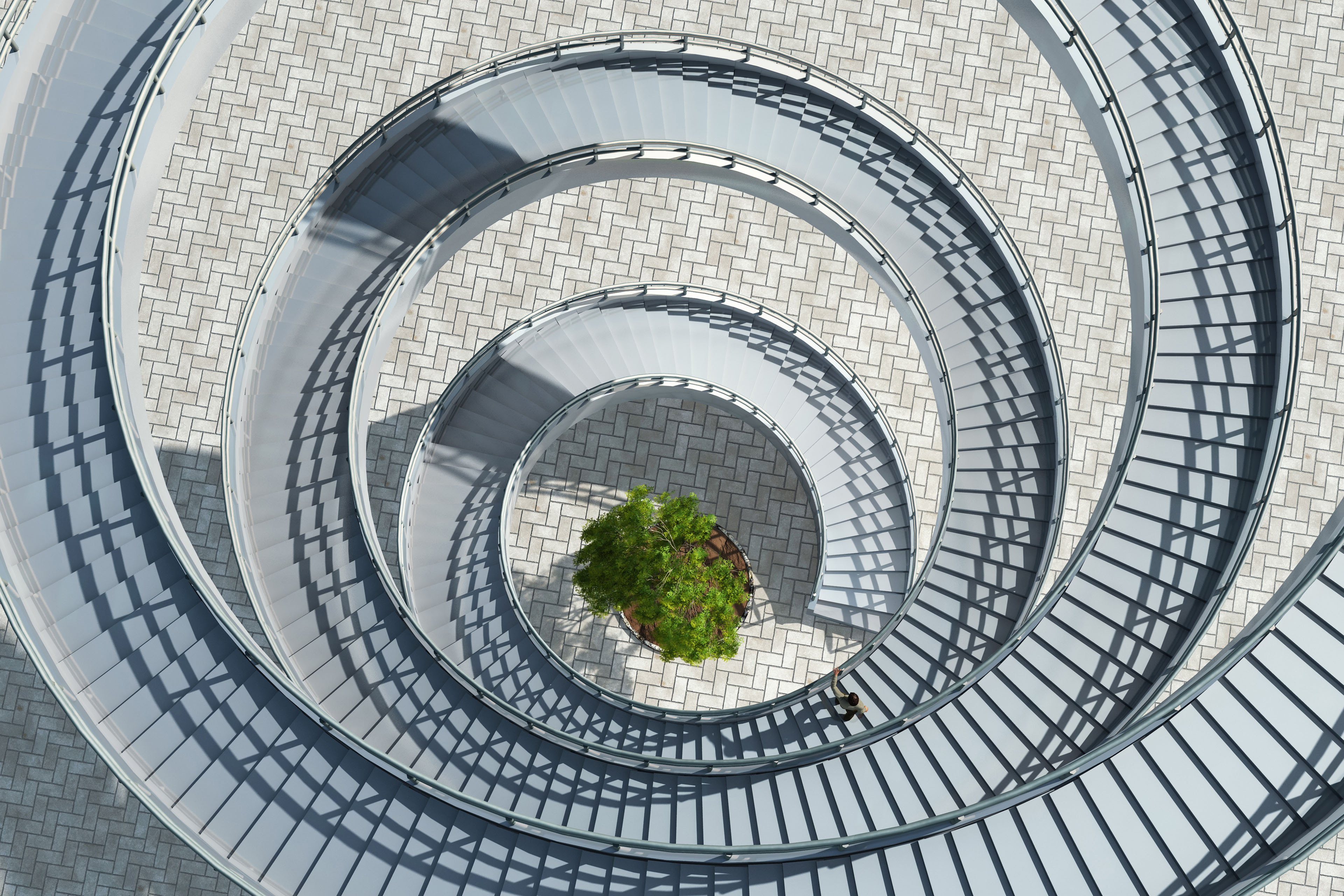 ey-aerial-view-spiral-staircase-with-tree-in-the-middle