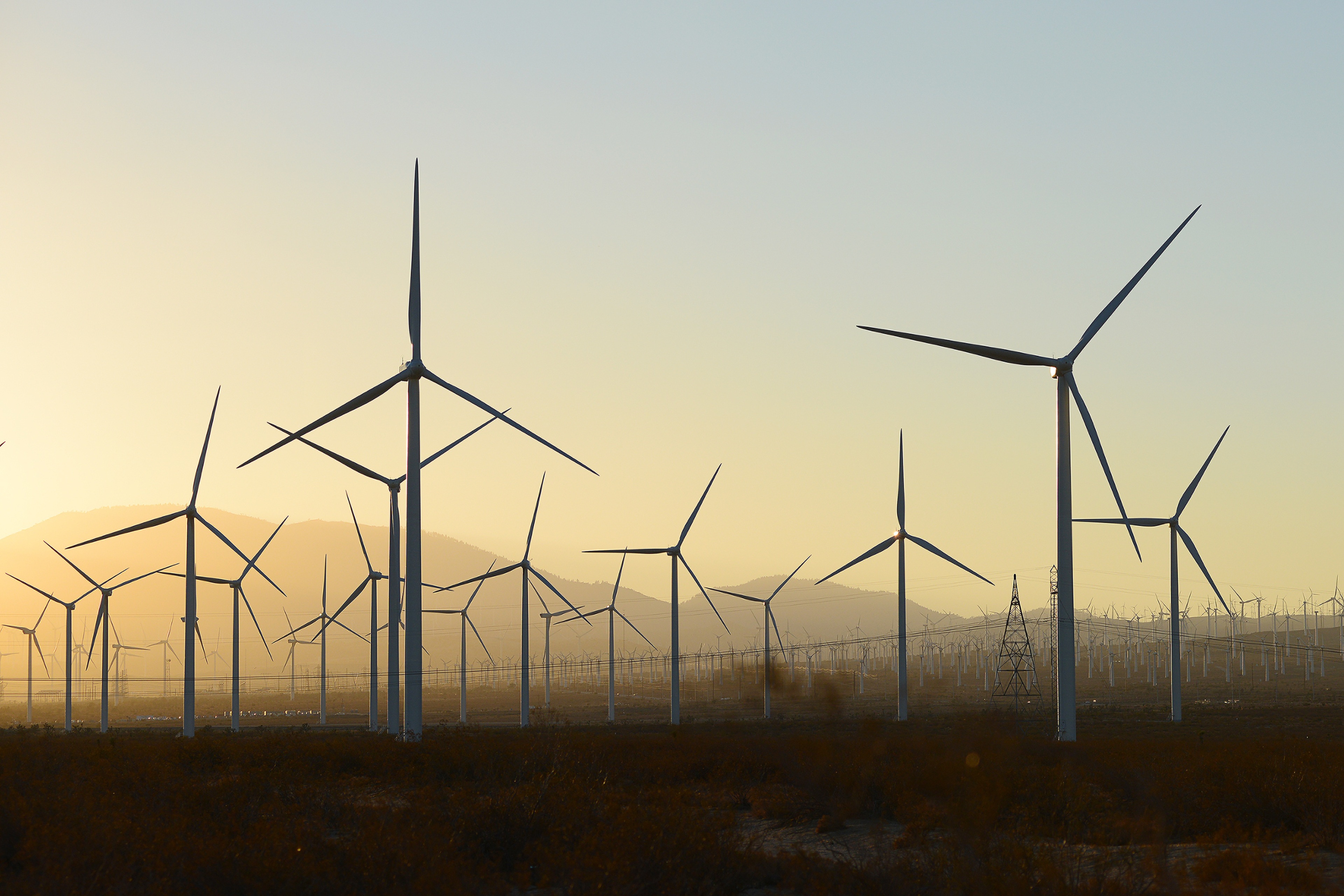 ey-conflictividad-juridica-parques-eolicos