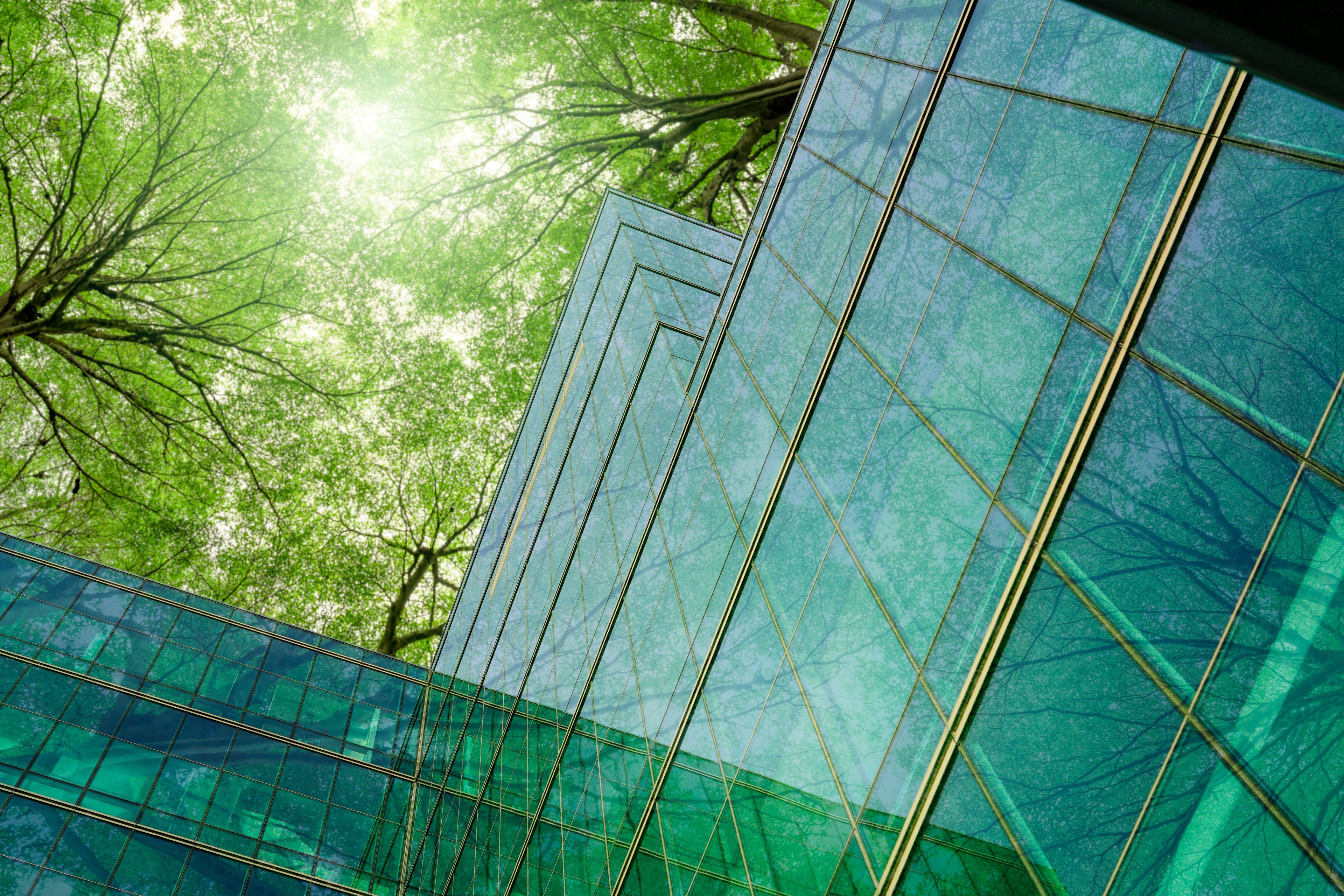 ¿Qué lecciones deja el primer año de IFRS S1 y S2 en México?