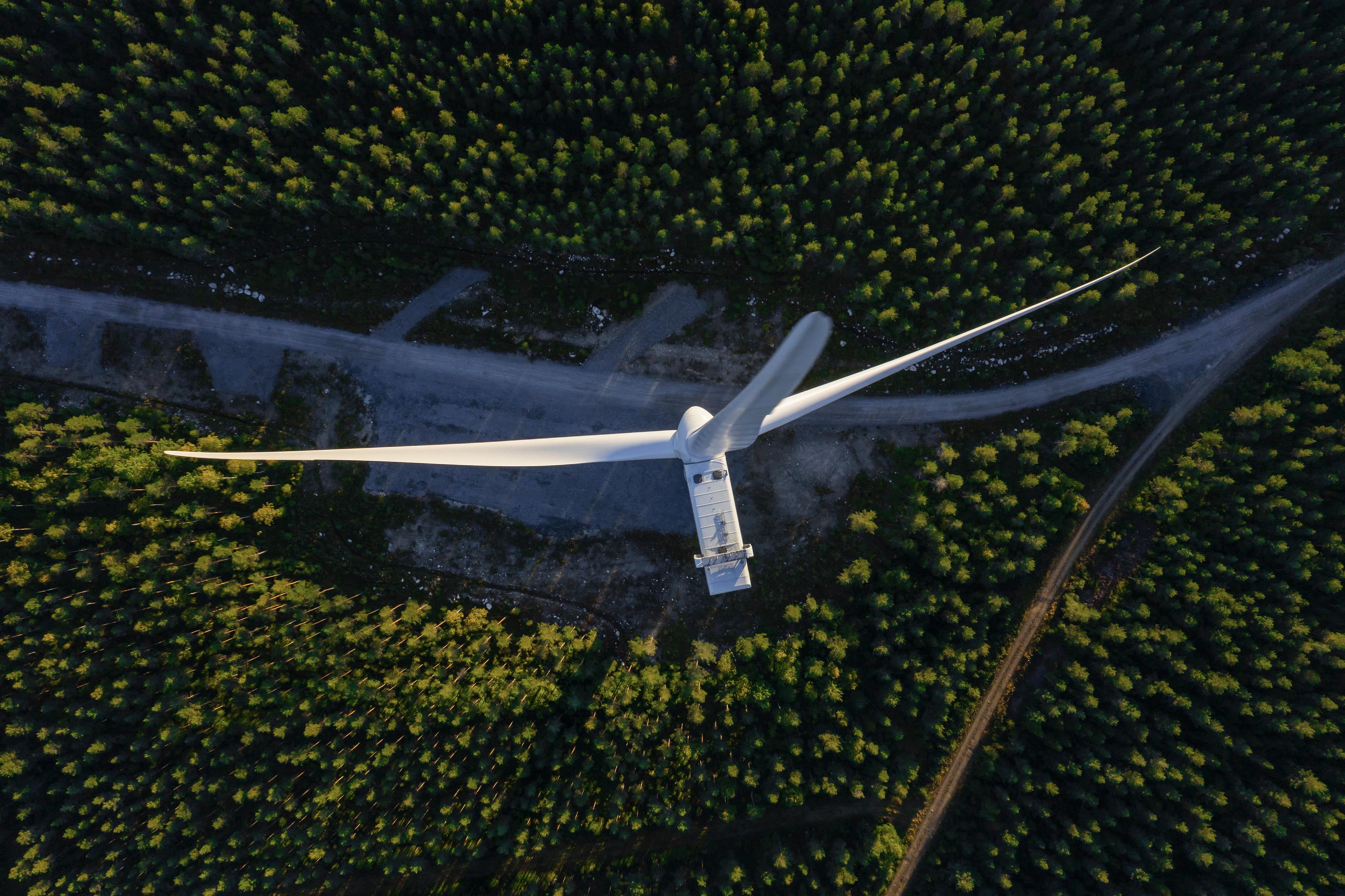 Une vue aérienne d'une grande éolienne située dans une forêt dense.