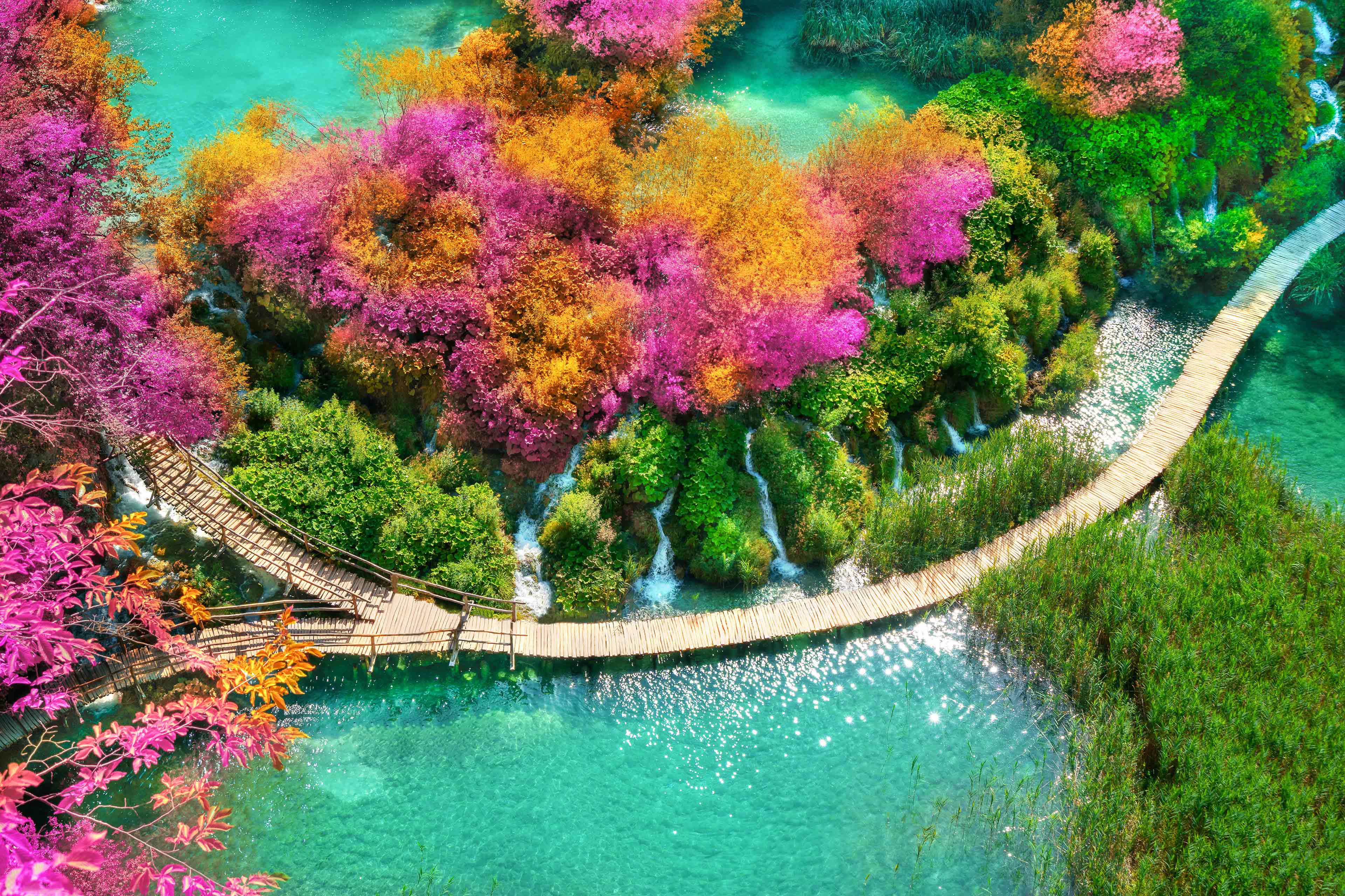 EYストラテジー・アンド・コンサルティング、 環境省の国立公園における滞在型観光事例集の作成を支援