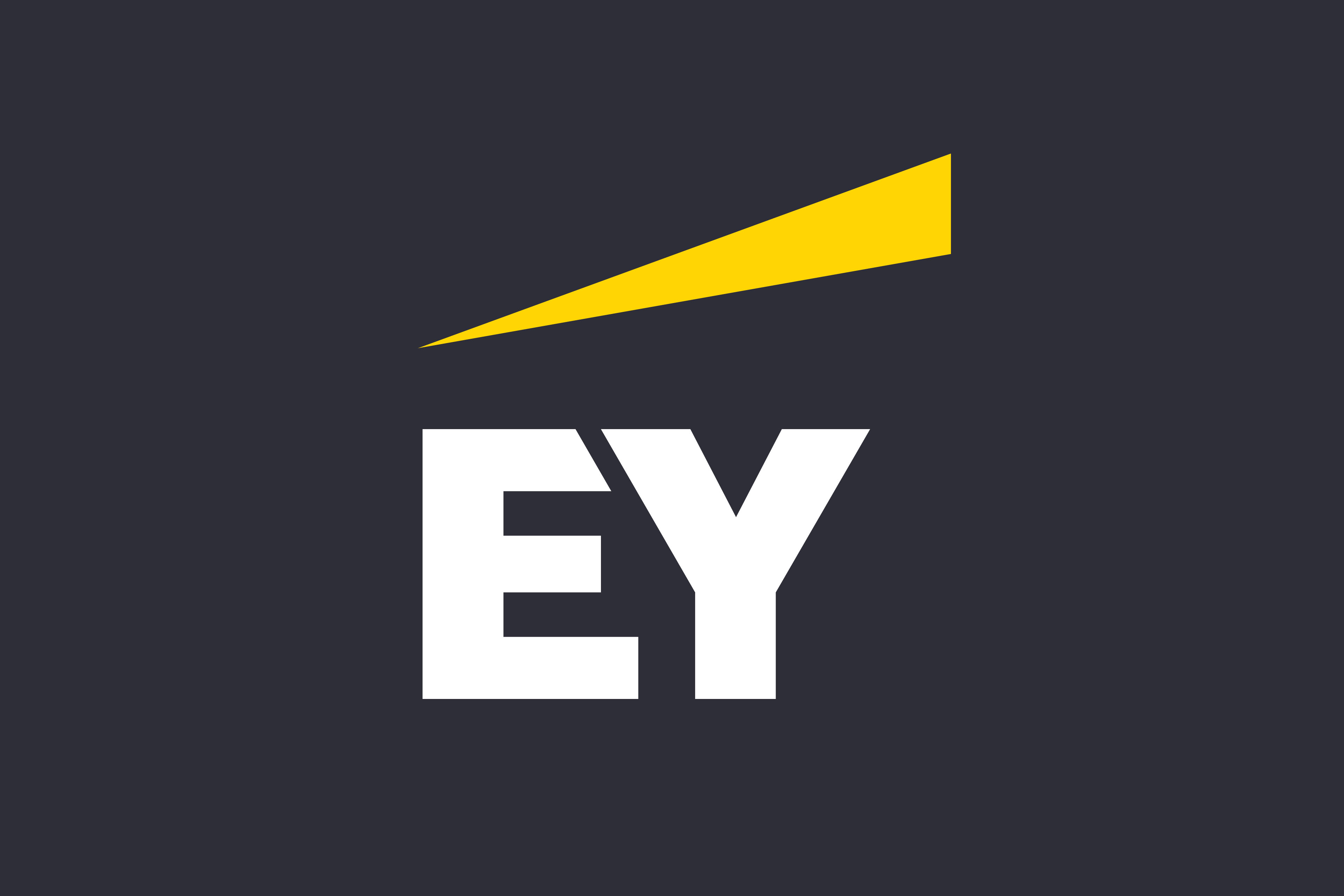 Servicios De Finanzas Abiertas EY Argentina Servicios De Finanzas Abiertas EY Argentina