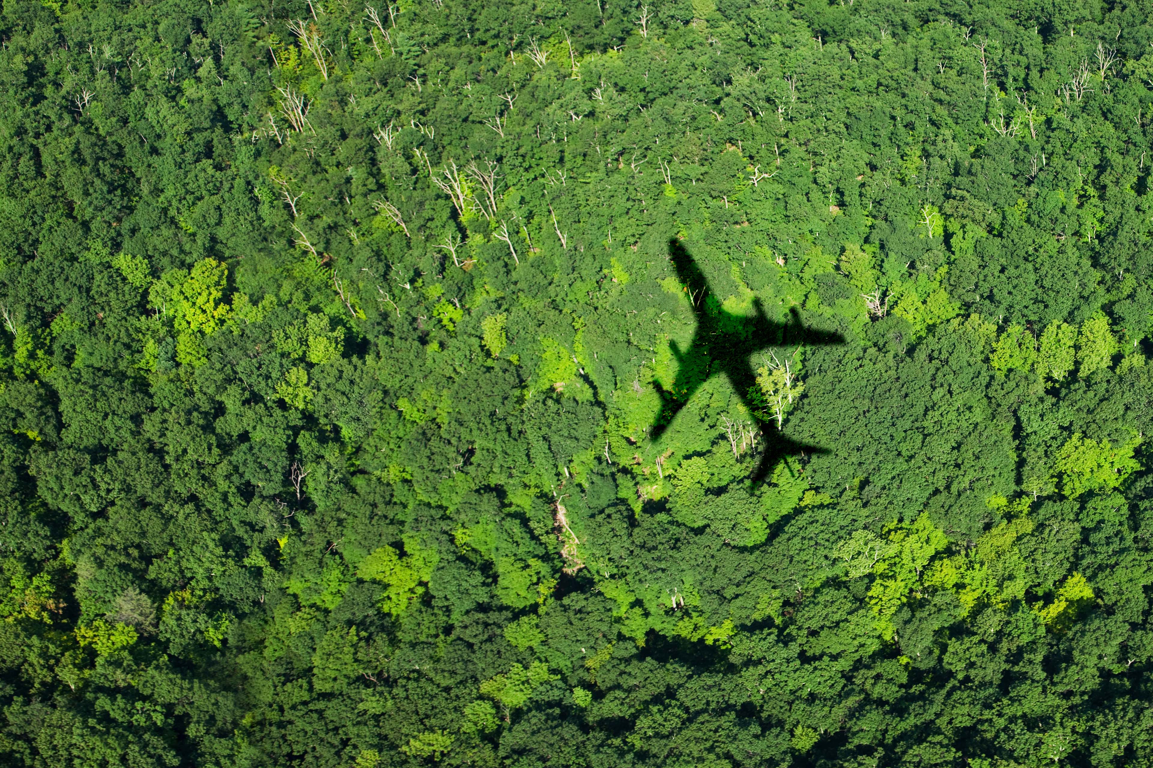 Ey shadow of airplane over forest