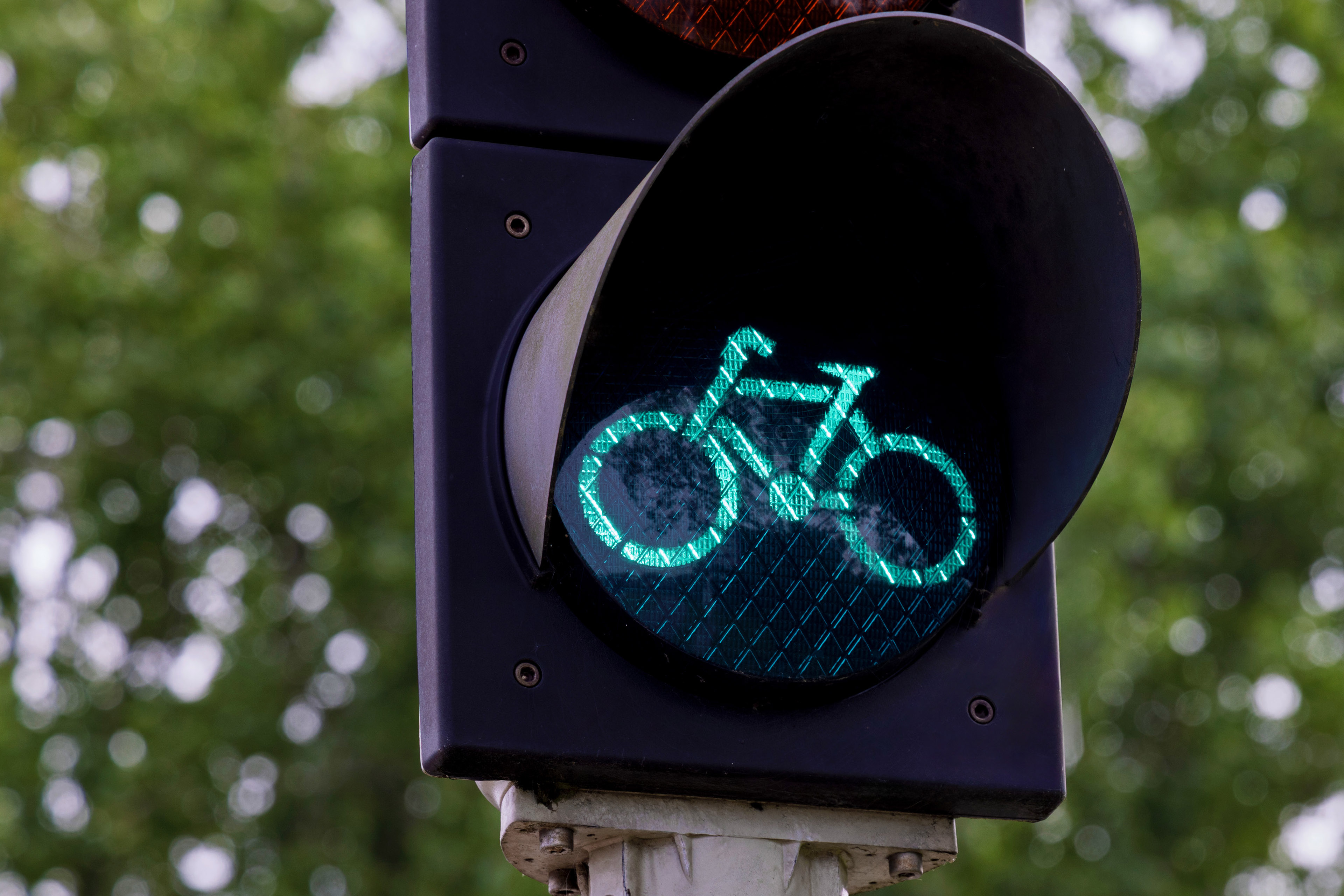 Groen fietsverkeerslicht op straat met bomen op de achtergrond in Nederland