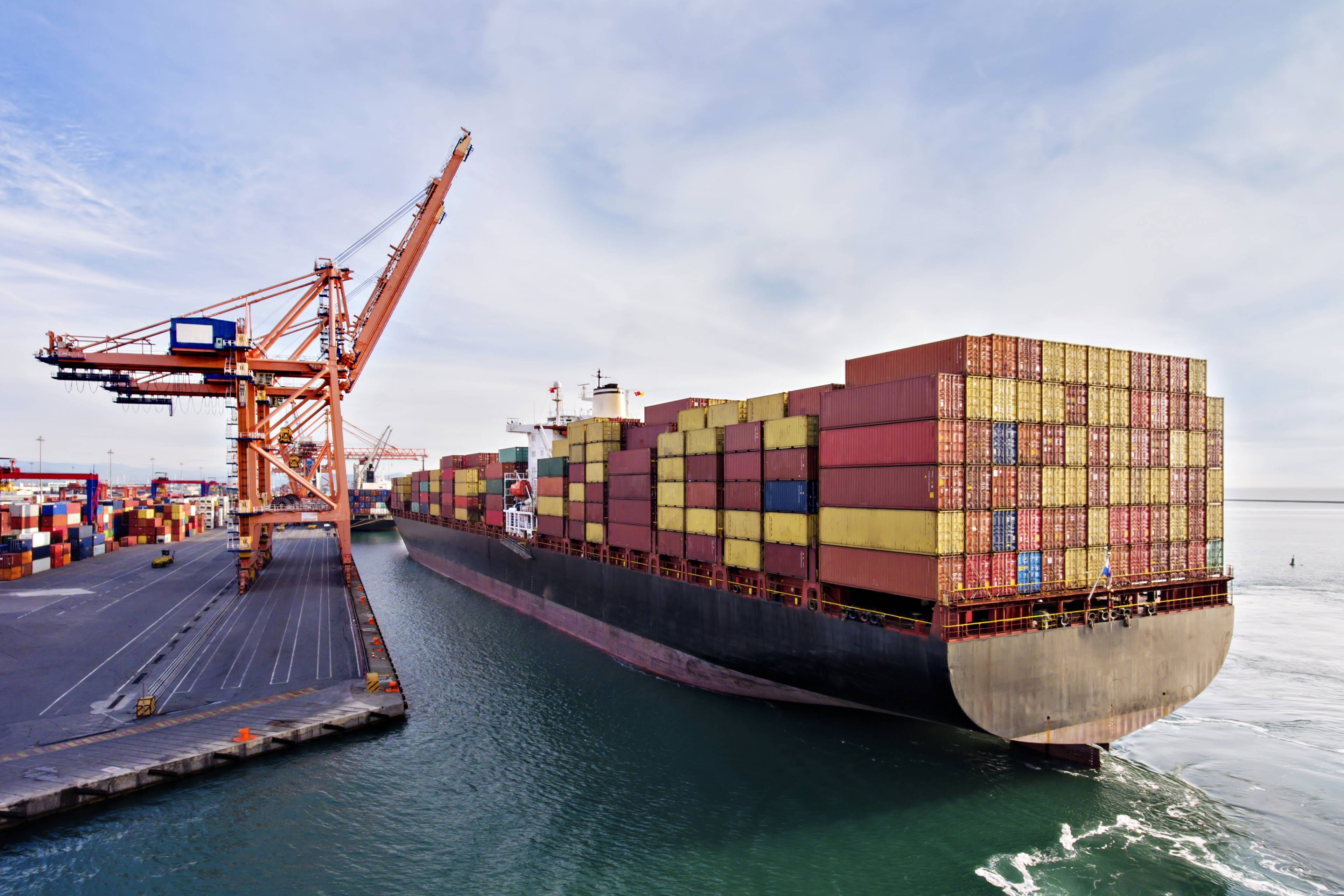 Weerbaarheid van Nederland