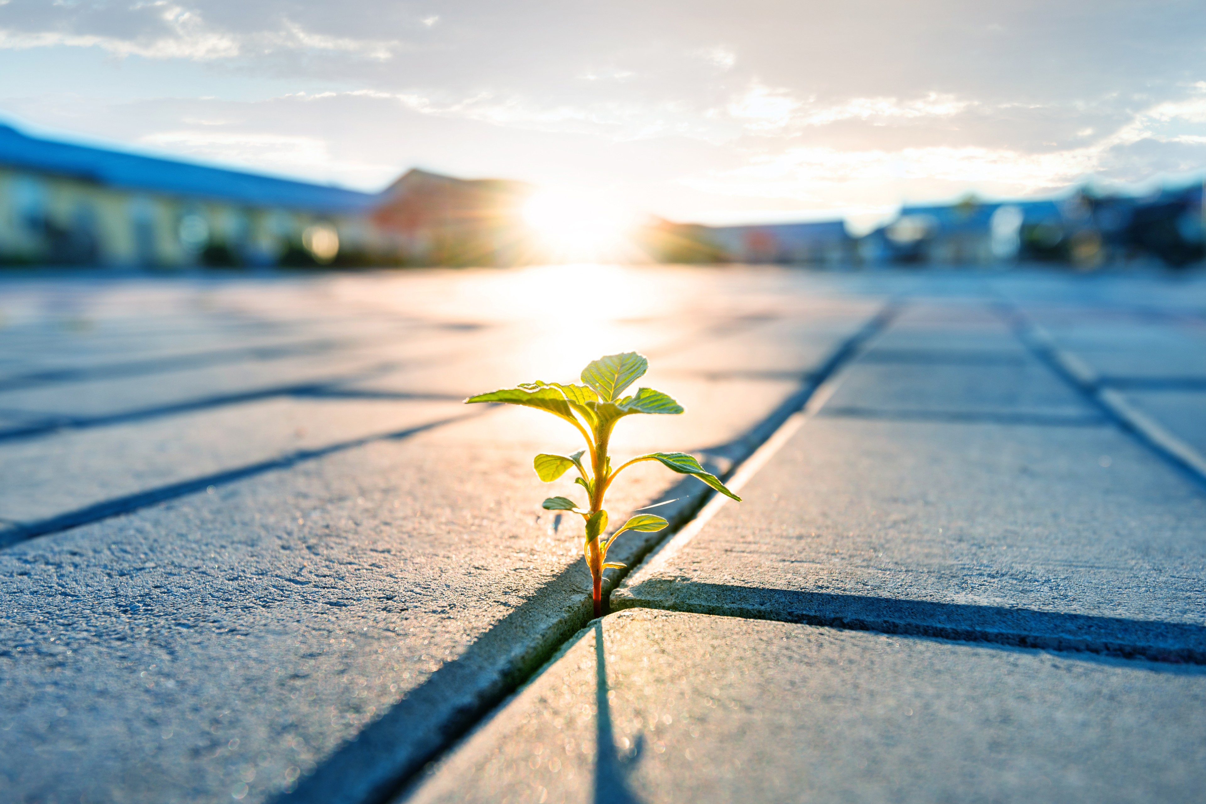 Global basel reforms