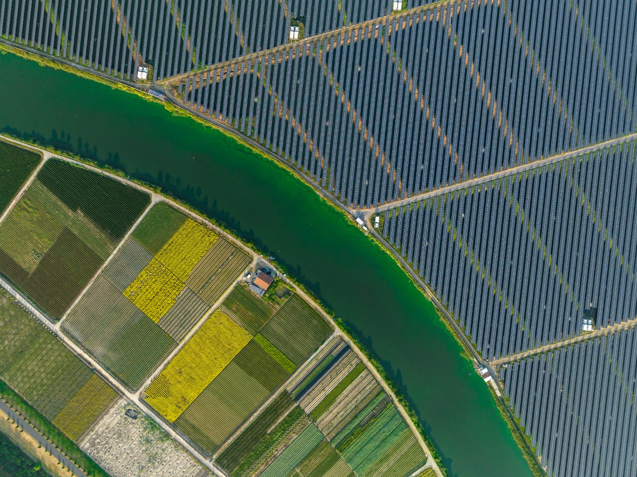 發電廠排放的煙霧