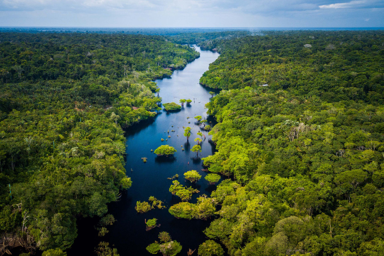 Amazonas - Brazil