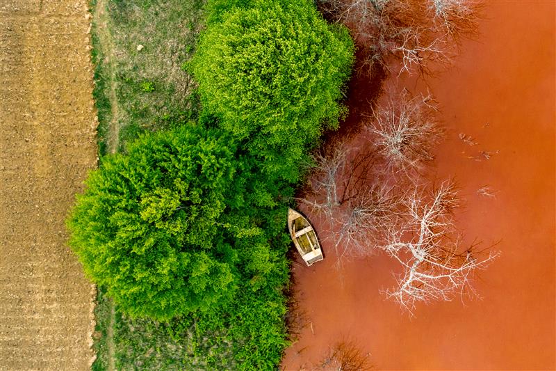 Luftaufnahme eines Bootes auf rotem Wasser neben grünen Bäumen und trockenen Ästen in der Nähe eines Feldes.