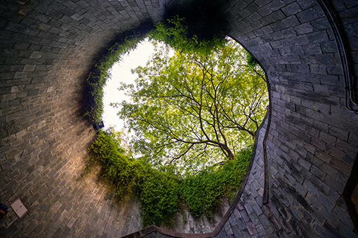 A inside view  from  well