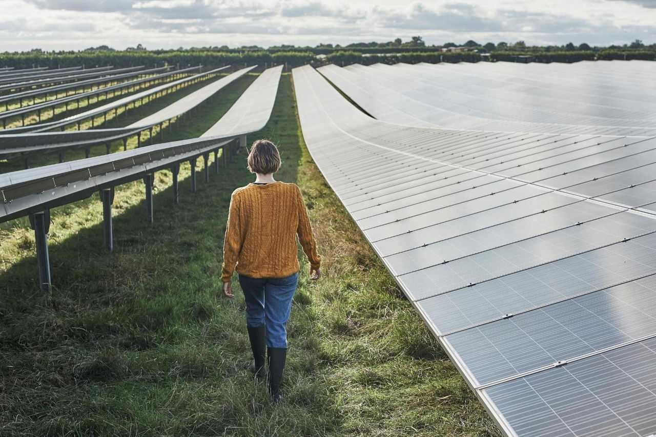 EY Konjunkturbarometer Agribusiness 2026