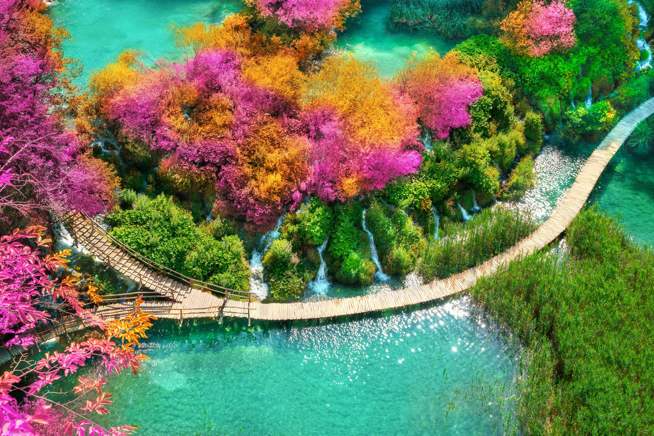 EYストラテジー・アンド・コンサルティング、 ROICを軸に事業価値と資本効率を高めるITマネジメント支援を開始