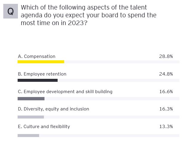 Which of the following aspects of the talent agenda do you expect your board to spend the most time on in 2023?